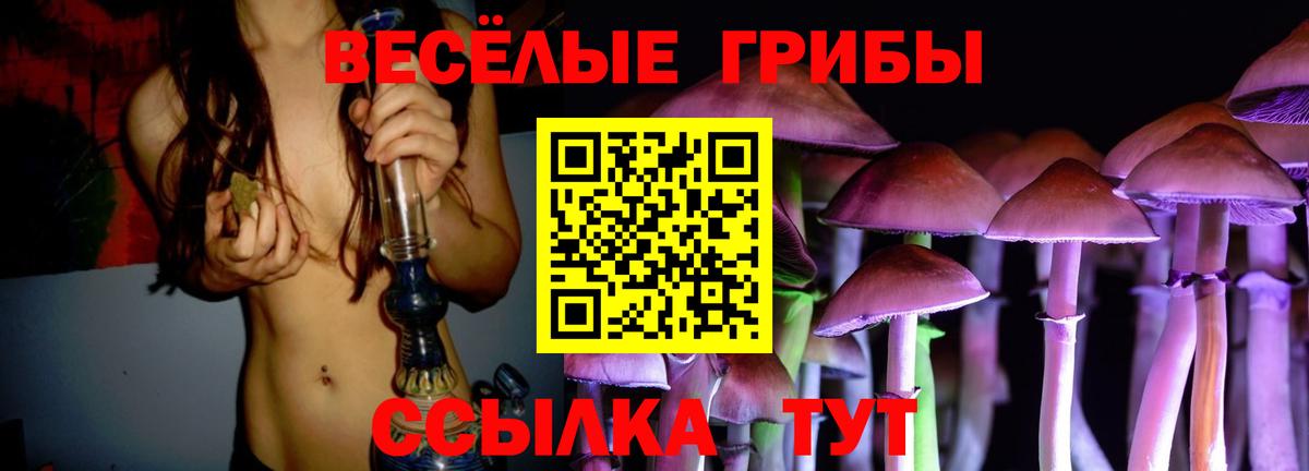 Псилоцибиновые грибы ЛСД  Псилоцибиновые грибы Cubensis  цена   Валуйки  Вход с VPN 